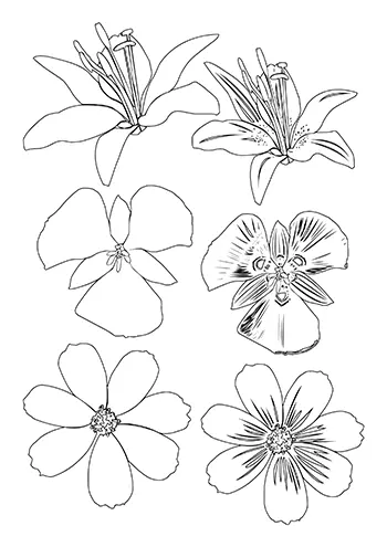 Fleur à découper 16