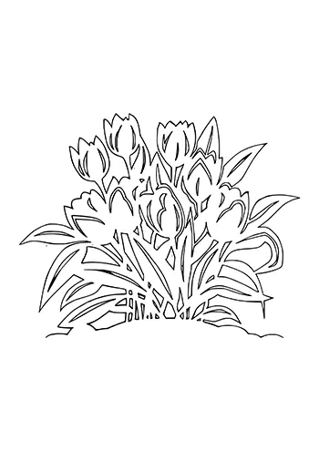 Fleur à découper 34
