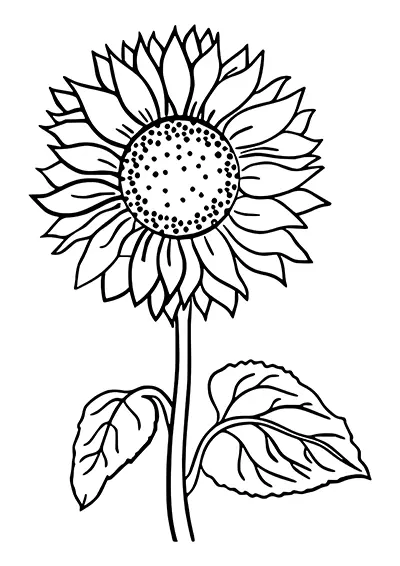 Coloriage tournesol PDF dessin à imprimer 03