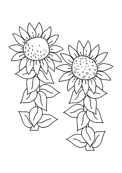 Sunflower petal stencil shape for crafts 04