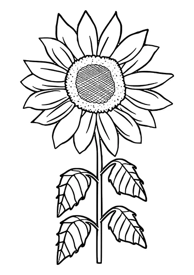 Silhouette tournesol à découper pour brico 05