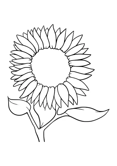 Sunflower drawing page printable vector card 10
