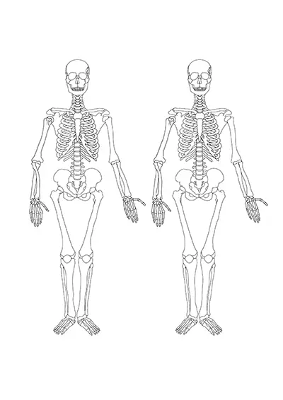 Trouver 5 Erreurs 16
