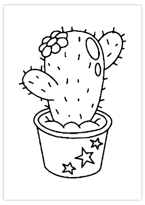 dessin-cactus-01