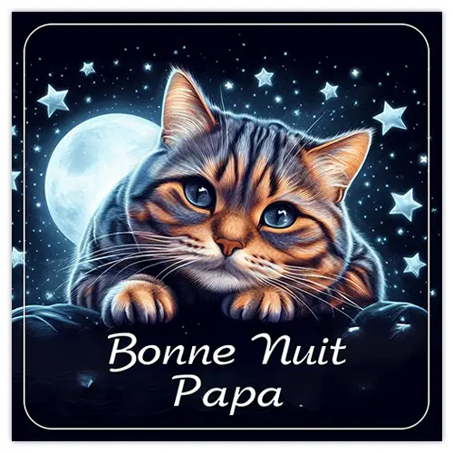 bonne-nuit-papa-01