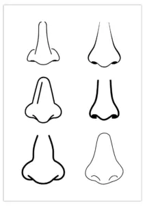 Gabarits de Nez